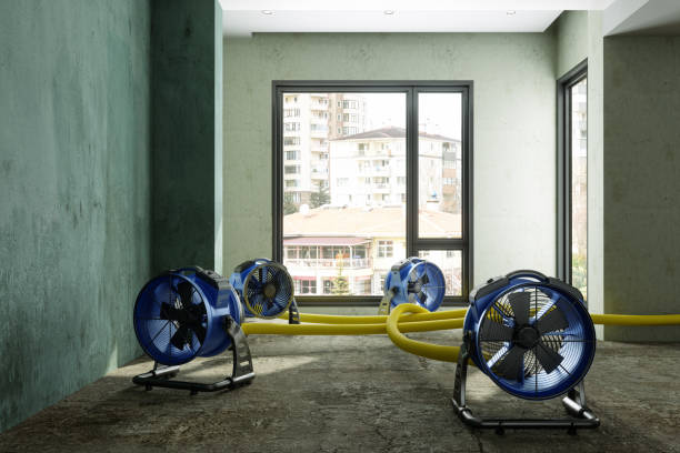 Best Water damage cleanup near me  in West Covina, CA