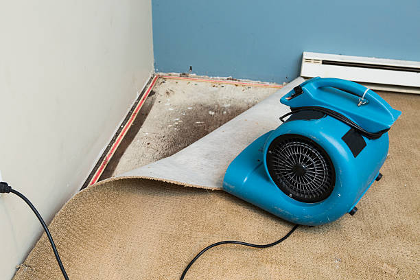 Best Residential water damage restoration  in West Covina, CA